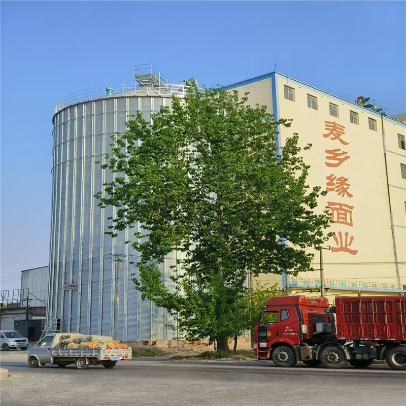 糧食鋼板倉(cāng) (5).jpg